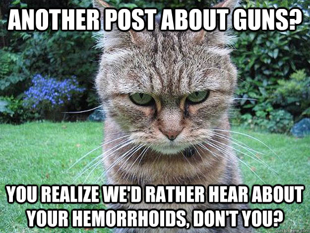 Another post about guns? you realize we'd rather hear about your hemorrhoids, don't you?  