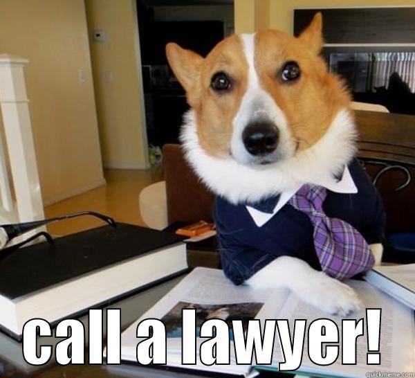  CALL A LAWYER! Lawyer Dog