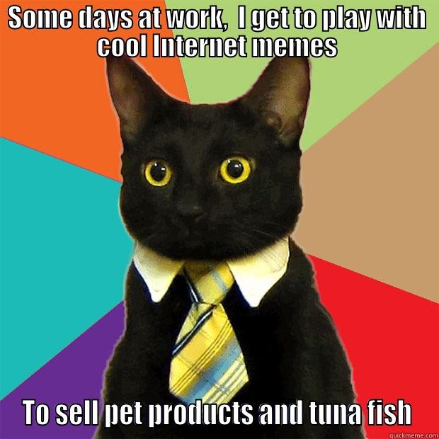 SOME DAYS AT WORK,  I GET TO PLAY WITH COOL INTERNET MEMES TO SELL PET PRODUCTS AND TUNA FISH Business Cat