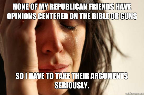 None of my Republican friends have opinions centered on the bible or guns so I have to take their arguments seriously. Caption 3 goes here  First World Problems