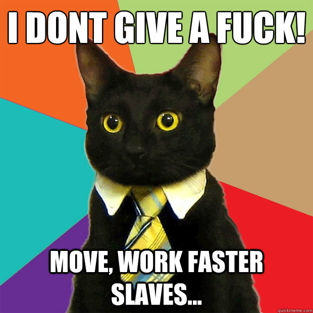 I Don´t give a Fuck! move, work faster slaves...  Business Cat