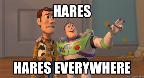 Hares Hares everywhere  Toy Story Everywhere