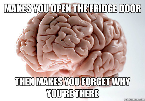 Makes you open the fridge door Then makes you forget why you're there  Scumbag Brain