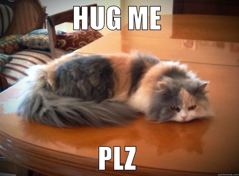 HUG ME PLZ Misc