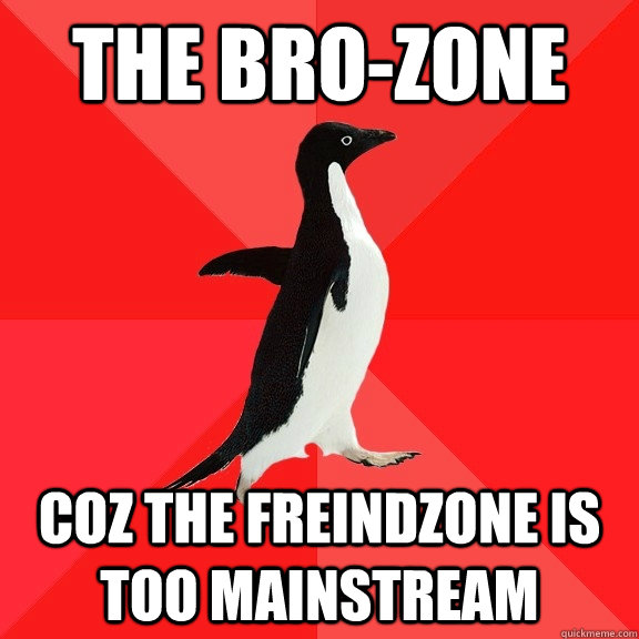 the bro-zone coz the freindzone is too mainstream  Socially Awesome Penguin