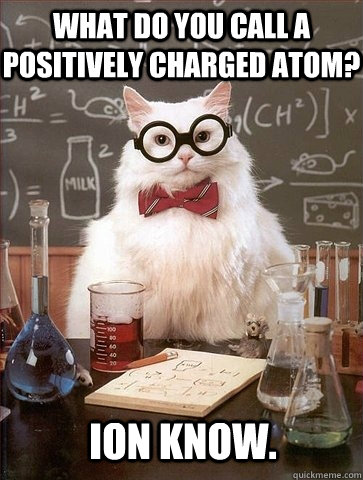 What do you call a positively charged atom? Ion know. - What do you call a positively charged atom? Ion know.  Chemistry Cat