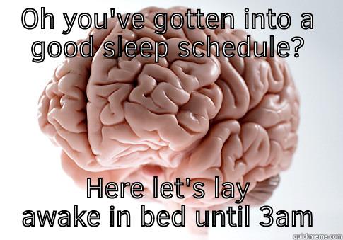 OH YOU'VE GOTTEN INTO A GOOD SLEEP SCHEDULE? HERE LET'S LAY AWAKE IN BED UNTIL 3AM Scumbag Brain