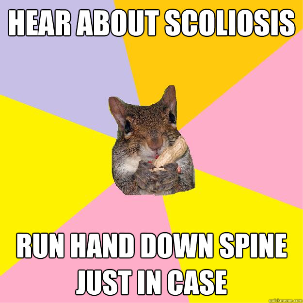 Hear about scoliosis Run hand down spine just in case   Hypochondriac Squirrel