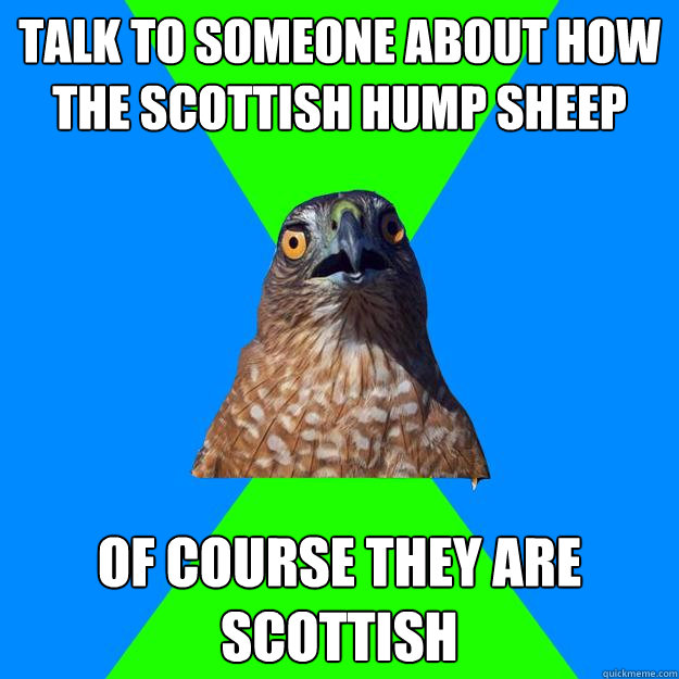 Talk to someone about how the scottish hump sheep Of course they are scottish  Hawkward