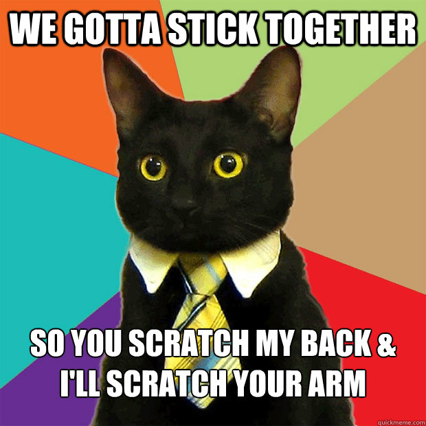 we gotta stick together   so you scratch my back & I'll scratch your arm - we gotta stick together   so you scratch my back & I'll scratch your arm  Business Cat