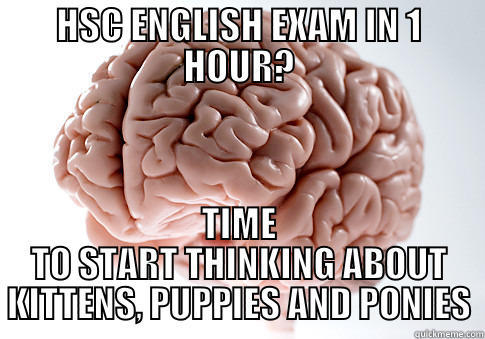 HSC ENGLISH EXAM IN 1 HOUR? TIME TO START THINKING ABOUT KITTENS, PUPPIES AND PONIES Scumbag Brain