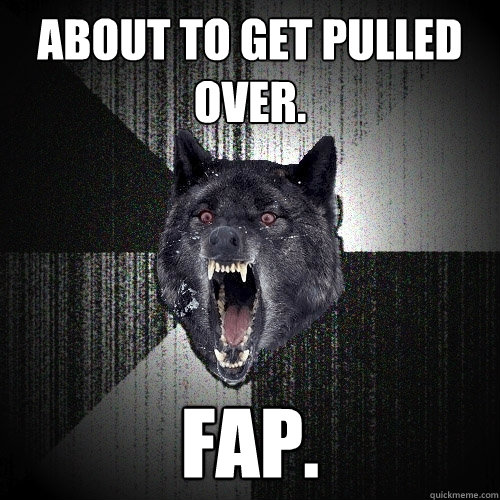 About to get pulled over. FAP. - About to get pulled over. FAP.  Insanity Wolf