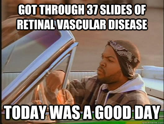 got through 37 slides of retinal vascular disease Today was a good day  today was a good day