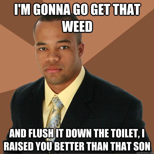 i'm gonna go get that weed and flush it down the toilet, i raised you better than that son - i'm gonna go get that weed and flush it down the toilet, i raised you better than that son  Successful Black Man