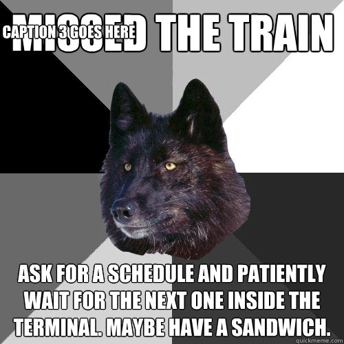 Missed the train Ask for a schedule and patiently wait for the next one inside the terminal. Maybe have a sandwich. Caption 3 goes here  Sanity Wolf