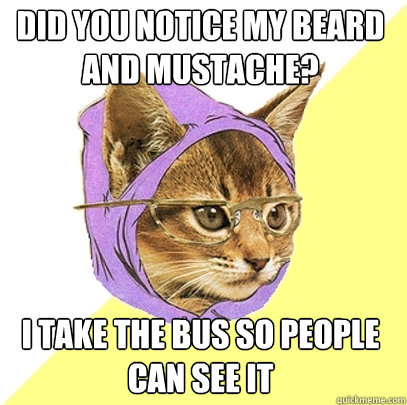 did you notice my beard and mustache? i take the bus so people can see it  Hipster Kitty