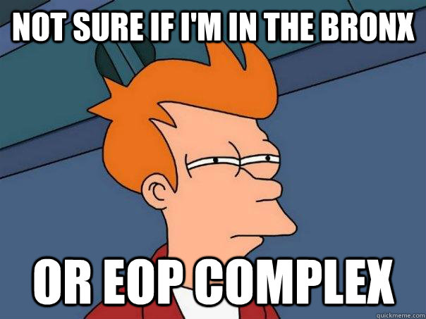 Not sure if i'm in the bronx Or eop complex  Futurama Fry