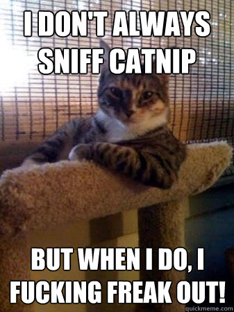 I don't always sniff catnip but when I do, I FUCKING FREAK OUT!  The Most Interesting Cat in the World