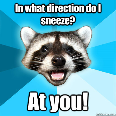 In what direction do I sneeze? At you!  Lame Pun Coon