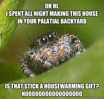 oh hi,
i spent all night making this house in your palatial backyard is that stick a housewarming gift?
NOOOOOOOOOOOOOOOOO  Misunderstood Spider