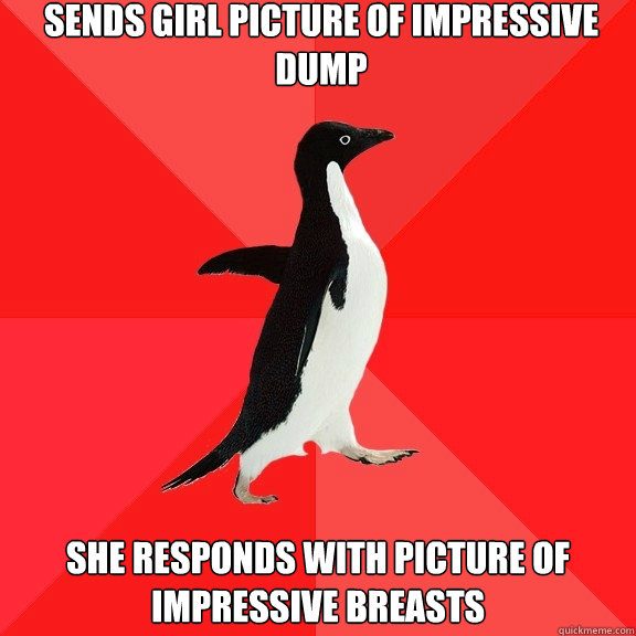 sends girl picture of impressive dump she responds with picture of impressive breasts  Socially Awesome Penguin