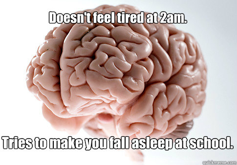 Doesn't feel tired at 2am. Tries to make you fall asleep at school. - Doesn't feel tired at 2am. Tries to make you fall asleep at school.  Scumbag Brain