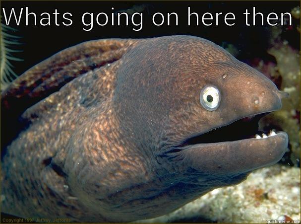 WHATS GOING ON HERE THEN   Bad Joke Eel