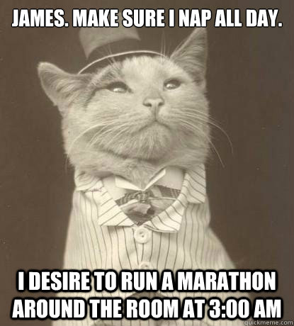 James. Make sure I nap all day. I desire to run a marathon around the room at 3:00 am  Aristocat