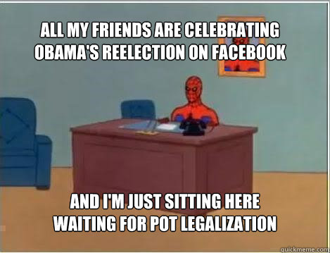 all my friends are celebrating obama's reelection on facebook and i'm just sitting here waiting for pot legalization - all my friends are celebrating obama's reelection on facebook and i'm just sitting here waiting for pot legalization  Spiderman