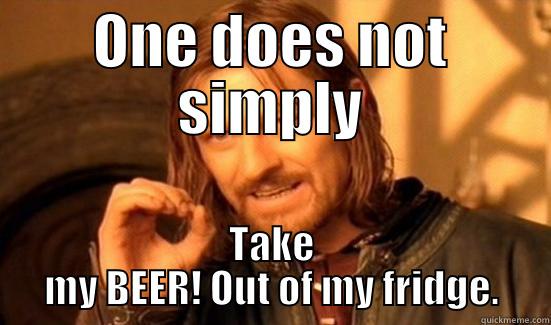 Don't do it. I swear! - ONE DOES NOT SIMPLY TAKE MY BEER! OUT OF MY FRIDGE. Boromir