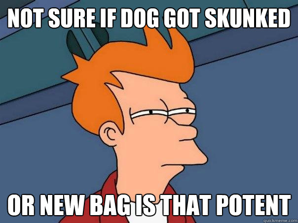 NOT SURE IF DOG GOT SKUNKED OR NEW BAG IS THAT POTENT  Futurama Fry