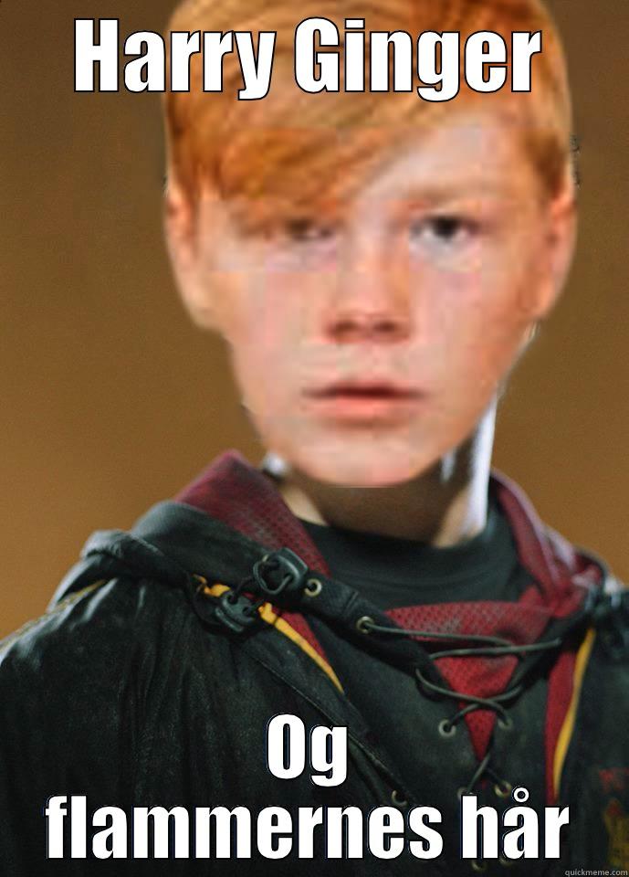 HARRY GINGER OG FLAMMERNES HÅR Misc