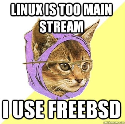 Linux is too main stream I use freebsd - Linux is too main stream I use freebsd  Hipster Kitty