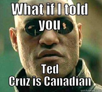 WHAT IF I TOLD YOU TED CRUZ IS CANADIAN Matrix Morpheus