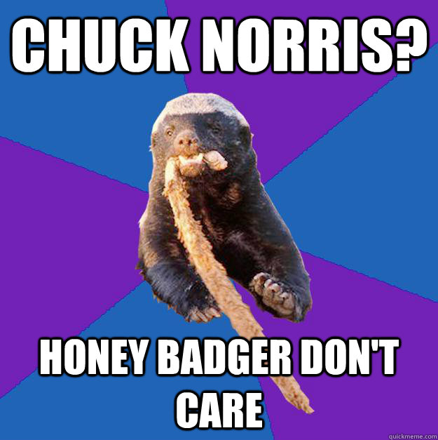 Chuck Norris? honey badger don't care  Honey Badger Dont Care