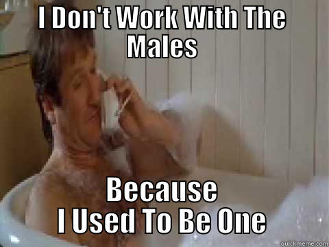 I DON'T WORK WITH THE MALES BECAUSE I USED TO BE ONE Misc