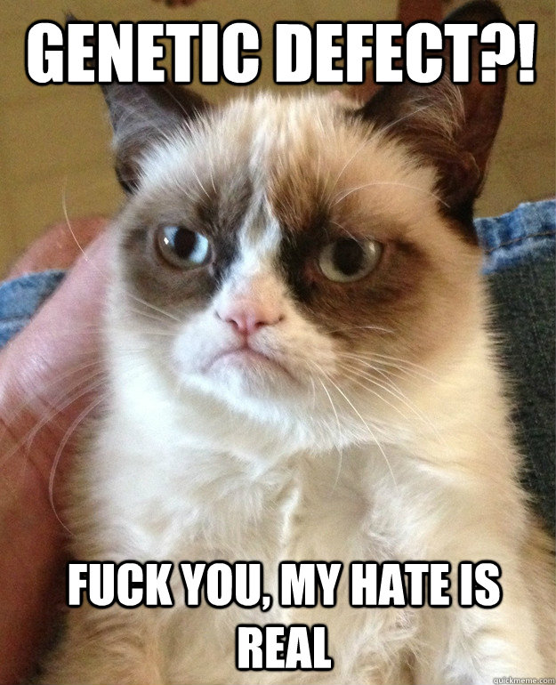 genetic defect?! fuck you, my hate is real  Grumpy Cat