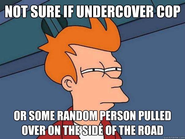 Not sure if undercover cop or some random person pulled over on the side of the road  Futurama Fry