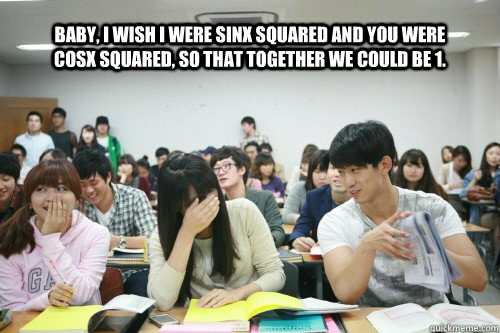 Baby, I wish I were sinx squared and you were cosx squared, so that together we could be 1.  