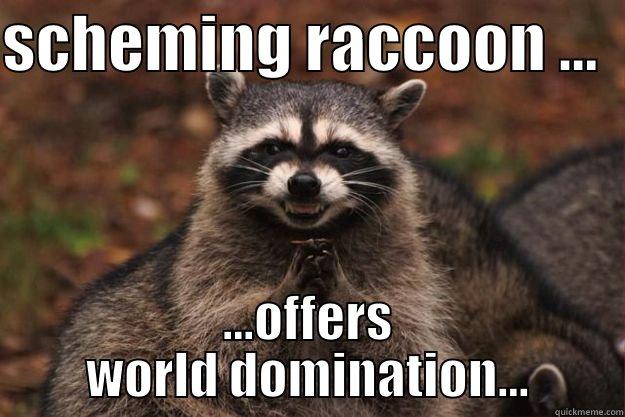 SCHEMING RACCOON ...   ...OFFERS WORLD DOMINATION... Evil Plotting Raccoon