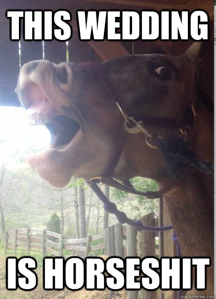 THIS WEDDING IS HORSESHIT - THIS WEDDING IS HORSESHIT  Lame Horse Jokes