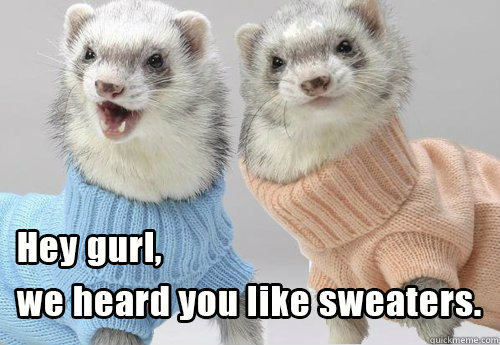   Ferrets in sweaters being creepy