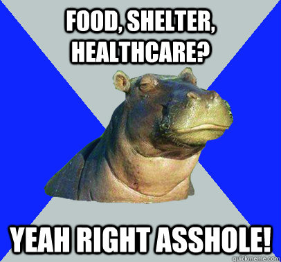 Food, shelter, healthcare? yeah right asshole!  Skeptical Hippo