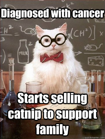 Diagnosed with cancer Starts selling catnip to support family - Diagnosed with cancer Starts selling catnip to support family  Chemistry Cat