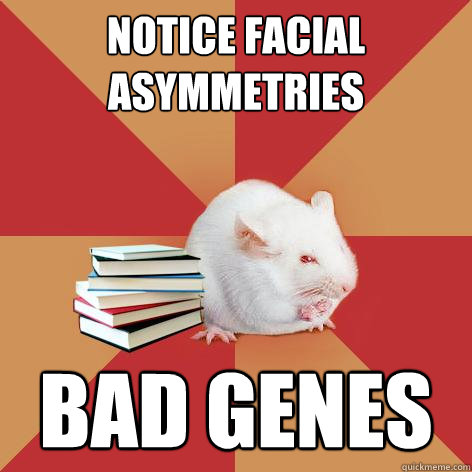 notice facial Asymmetries   bad genes - notice facial Asymmetries   bad genes  Science Major Mouse