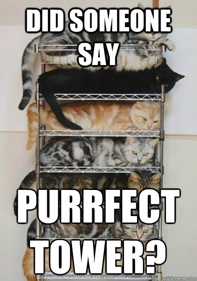 DID SOMEONE SAY PURRFECT TOWER? - DID SOMEONE SAY PURRFECT TOWER?  Misc