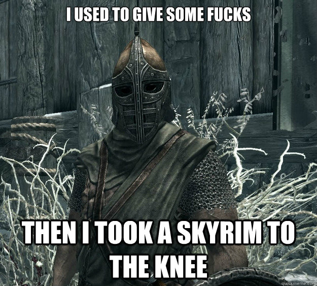 I used to give some fucks Then I took a skyrim to the knee  Skyrim Guard