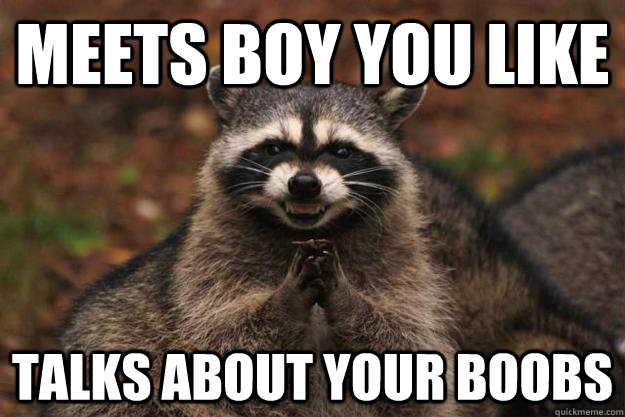 meets boy you like talks about your boobs  - meets boy you like talks about your boobs   Evil Plotting Raccoon