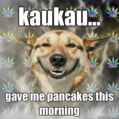 kaukau... gave me pancakes this morning  Stoner Dog