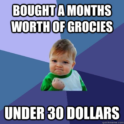 Bought a months worth of grocies under 30 dollars   Success Kid